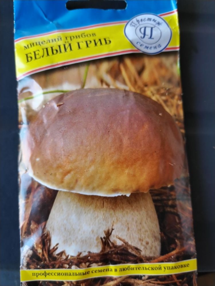 Мицелий грибов Белый гриб