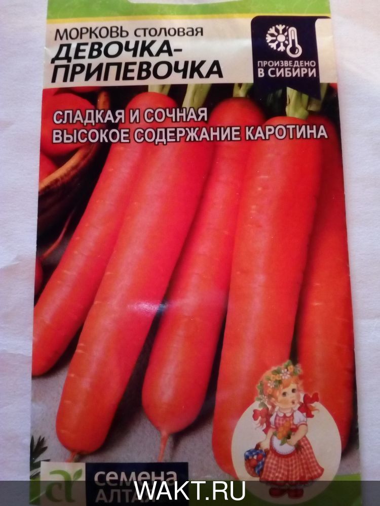 Морковь Девочка-припевочка