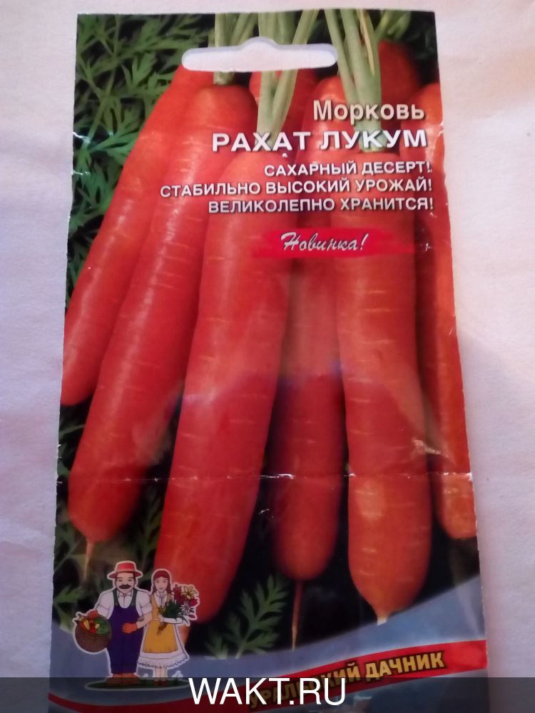 Морковь Рахат лукум