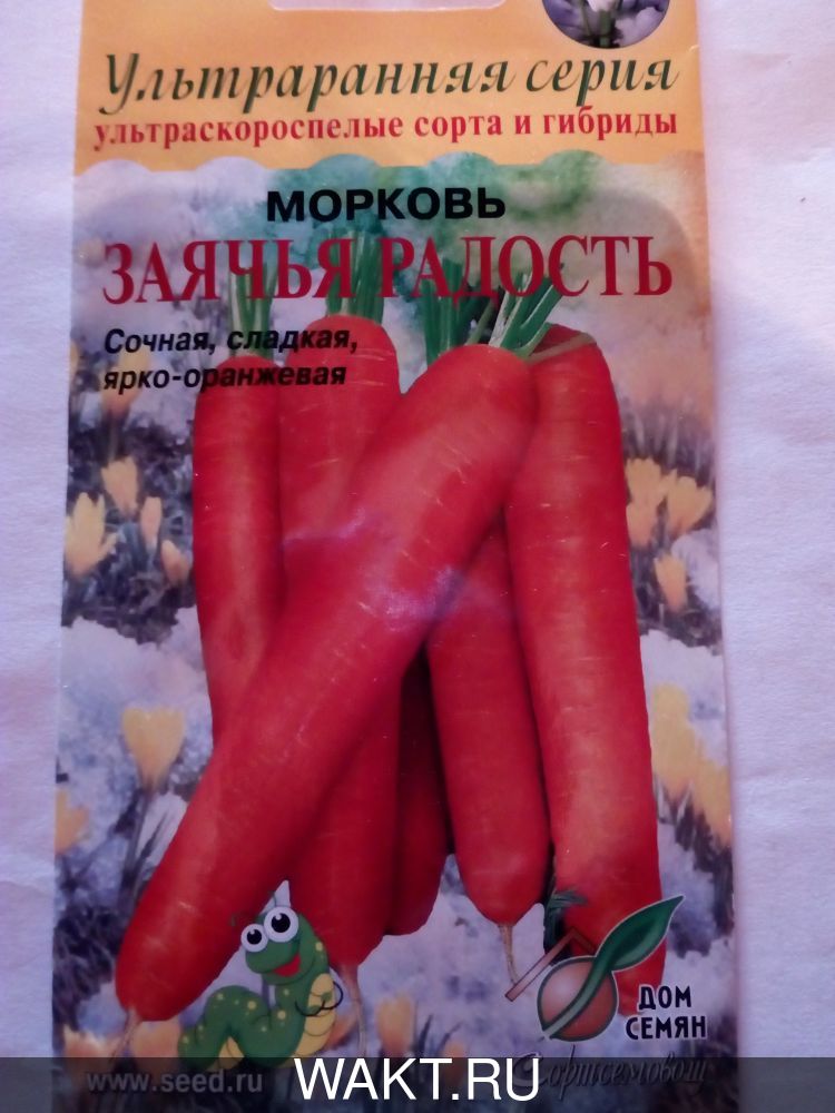 Морковь Заячья радость